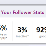 fakefollower Tool Ergebnis