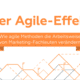 Agile Effekt Marketing Team
